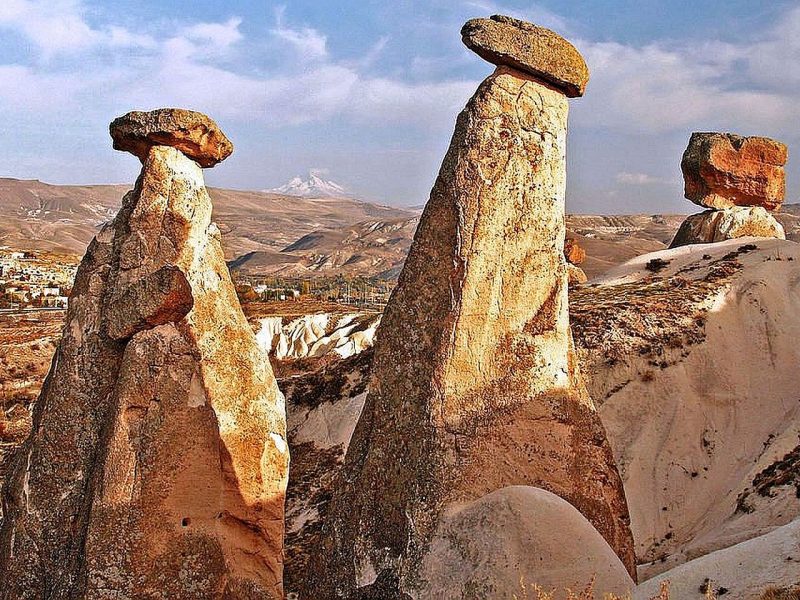 Book Tours & Travel Packages