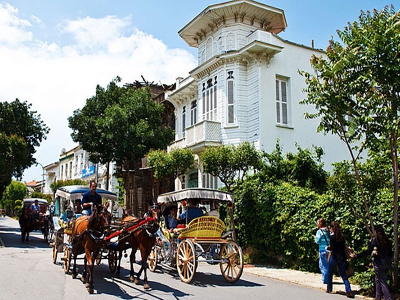 Book Tours & Travel Packages